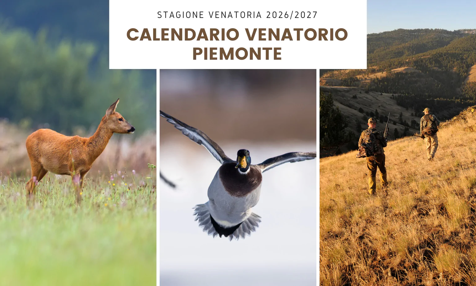 Calendario venatorio del territorio della Regione Piemonte 2026/2027